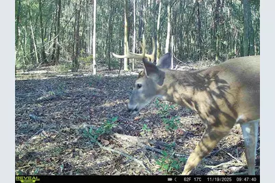 00 121st Rd, O'Brien, FL 32071 - Photo 30