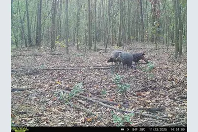 00 121st Rd, O'Brien, FL 32071 - Photo 34