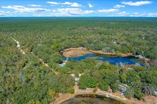 15120 NE 240th Ct, Salt Springs, FL 32134 - Photo 52