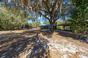 15120 NE 240th Ct, Salt Springs, FL 32134 - Photo 48