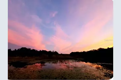 15120 NE 240th Court, Salt Springs, FL 32134 - Photo 60