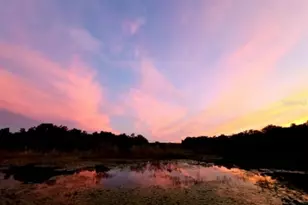 15120 NE 240th Ct, Salt Springs, FL 32134 - Photo 60