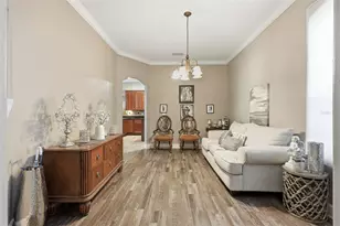 5047 Rishley Run Way, Mount Dora, FL 32757 - Photo 8