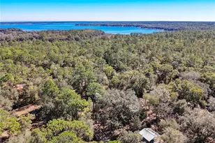 20434 NE 143rd Pl, Salt Springs, FL 32134 - Photo 34