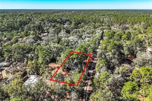 20434 NE 143rd Pl, Salt Springs, FL 32134 - Photo 36