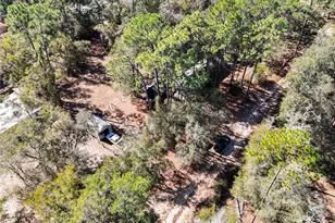 20434 NE 143rd Pl, Salt Springs, FL 32134 - Photo 8