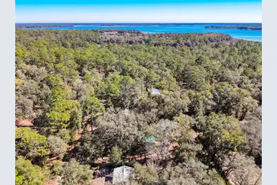 20434 NE 143rd Place, Salt Springs, FL 32134 - Photo 6