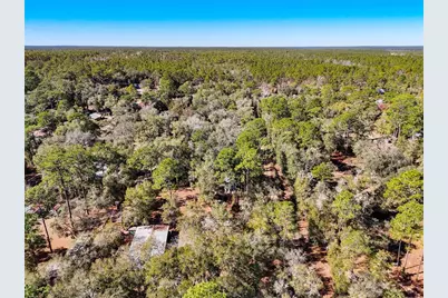 20434 NE 143rd Place, Salt Springs, FL 32134 - Photo 32