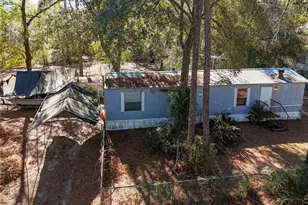 20434 NE 143rd Pl, Salt Springs, FL 32134 - Photo 4