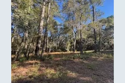 Tbd NE 135 Avenue, Fort Mc Coy, FL 32134 - Photo 4