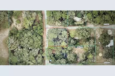 Tbd NE 135 Avenue, Fort Mc Coy, FL 32134 - Photo 2