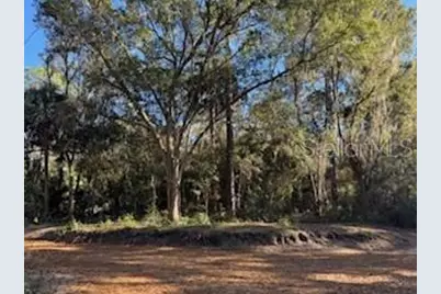 Tbd NE 135 Avenue, Fort Mc Coy, FL 32134 - Photo 6