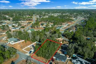 Pecan Radial, Ocala, FL 34472 - Photo 1