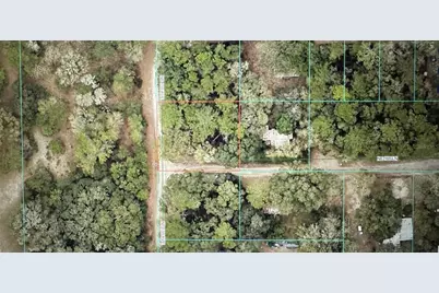 Tbd NE 135 Avenue, Fort Mc Coy, FL 32134 - Photo 2