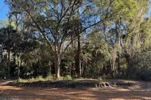 Tbd NE 135 Ave, Fort Mc Coy, FL 32134 - Photo 1