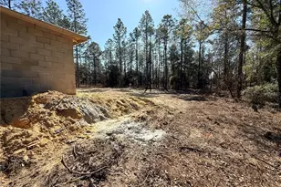 [Address not provided], Dunnellon, FL 34431 - Photo 4