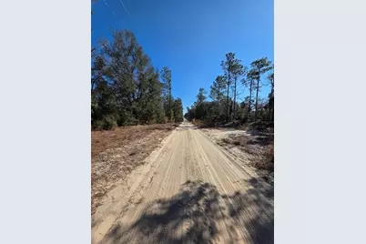 Tbd NE 87th Place, Bronson, FL 32621 - Photo 10