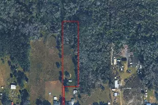 30375 St Joe Rd, Dade City, FL 33525 - Photo 1