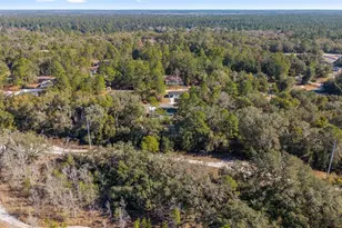 20 Locust Course Radial, Ocala, FL 34472 - Photo 44