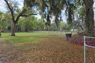 2327 Co Rd 528, Sumterville, FL 33585 - Photo 6