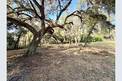 5666 S Florida Avenue, Floral City, FL 34436 - Photo 6