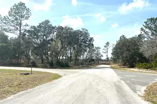 0 SW 163rd Street Rd, Ocala, FL 34473 - Photo 1