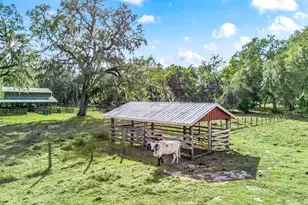 4430 Cr 542H, Bushnell, FL 33513 - Photo 36