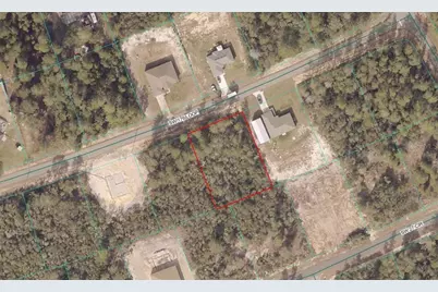 Tbd Lot 13 SW 176th Loop, Ocala, FL 34473 - Photo 1