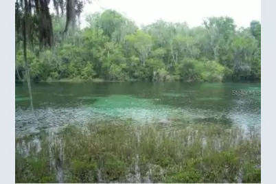 8448 SW 196th Avenue Road, Dunnellon, FL 34432 - Photo 42