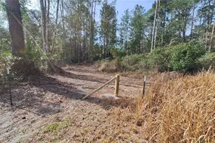 14850 NE 159th Pl, Fort Mc Coy, FL 32134 - Photo 52