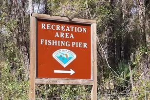 14850 NE 159th Pl, Fort Mc Coy, FL 32134 - Photo 34