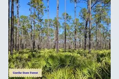 Se State Road 121 Lot 4, Morriston, FL 32668 - Photo 8