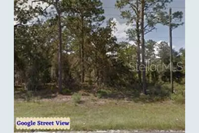 Se State Road 121 Lot 4, Morriston, FL 32668 - Photo 2