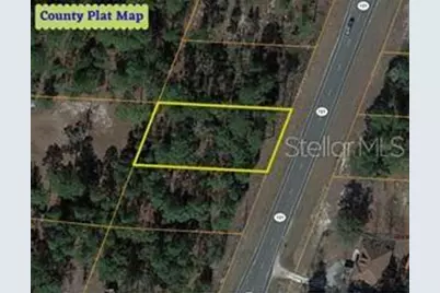 Se State Road 121 Lot 4, Morriston, FL 32668 - Photo 1