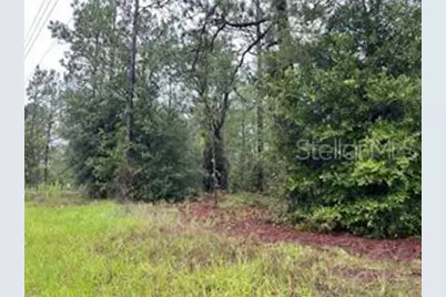 Se State Road 121 Lot 4, Morriston, FL 32668 - Photo 14