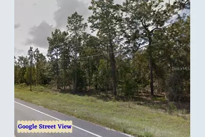 Se State Road 121 Lot 4, Morriston, FL 32668 - Photo 12