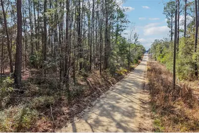 0 SW 150 Court, Ocala, FL 34481 - Photo 2
