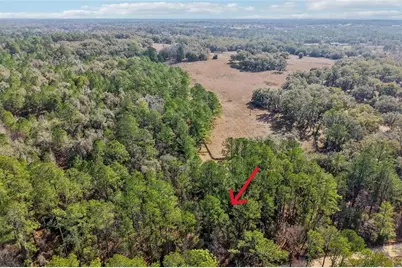 0 SW 150 Court, Ocala, FL 34481 - Photo 6