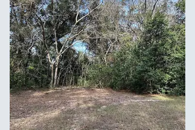 39725 Clay Avenue N, Lady Lake, FL 32159 - Photo 22