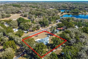 113 Rosemary Ave, Lady Lake, FL 32159 - Photo 54