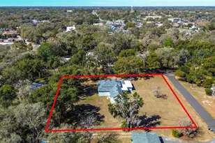 113 Rosemary Ave, Lady Lake, FL 32159 - Photo 56