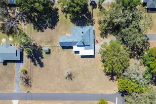 113 Rosemary Ave, Lady Lake, FL 32159 - Photo 46