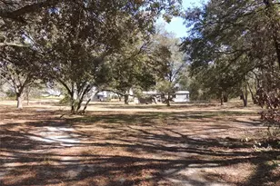 4551 SE 138th Terrace, Morriston, FL 32668 - Photo 1
