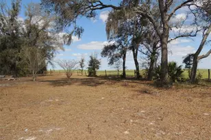 4551 SE 138th Terrace, Morriston, FL 32668 - Photo 16