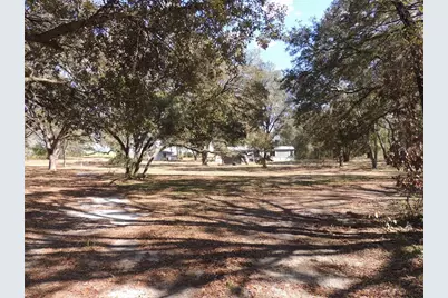 4551 SE 138th Terrace, Morriston, FL 32668 - Photo 4