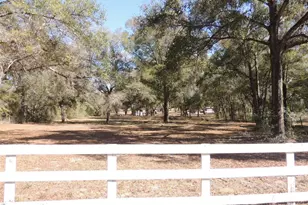 4551 SE 138th Terrace, Morriston, FL 32668 - Photo 4