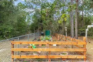 8290 N Ronda Dr, Citrus Springs, FL 34433 - Photo 38