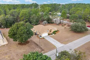 8290 N Ronda Dr, Citrus Springs, FL 34433 - Photo 42