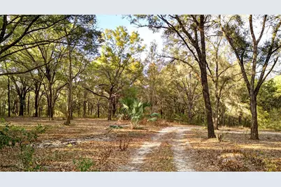 Se 180th Street, Weirsdale, FL 32195 - Photo 1