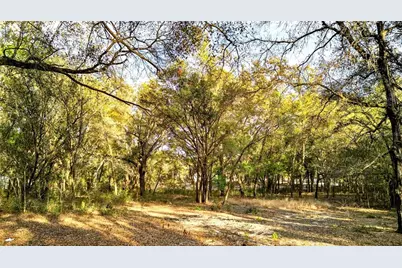 Se 180th Street, Weirsdale, FL 32195 - Photo 2